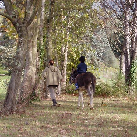 Podere La Piana Fivizzano Exteriér fotografie