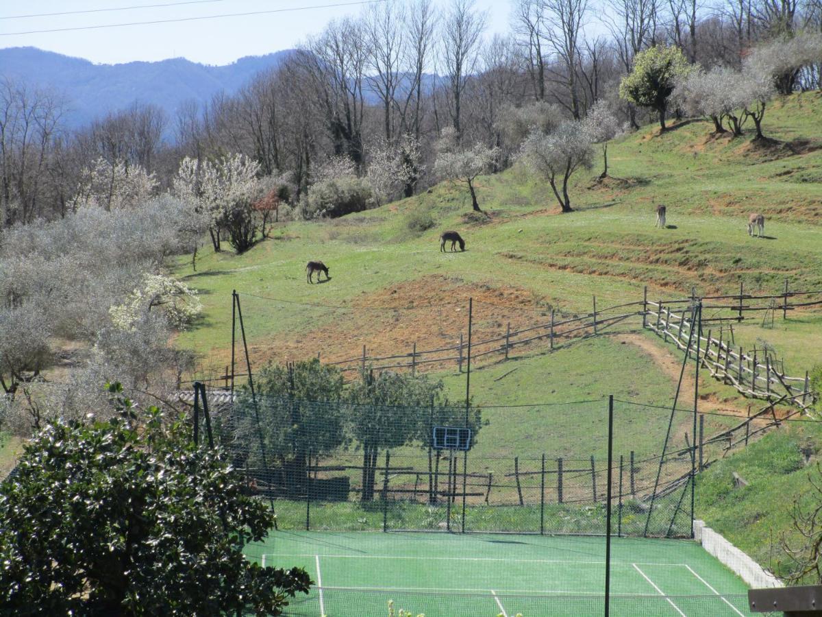 Podere La Piana Fivizzano Exteriér fotografie